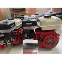 Động Cơ Cốt Xéo Chạy Xăng Honda GX200 6.5HP bơm nước, máy phát điện, máy xới, chân vịt tàu bè