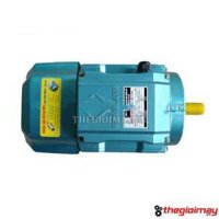 Động cơ điện 1 pha 2.2 kW tốc nhanh 2900 vòng/phút