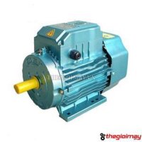 Động cơ điện 1 pha 3 kW tốc chậm 1490 vòng/phút