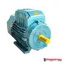 Động cơ điện 1 pha 3 kw tốc nhanh 2900 vòng/phút