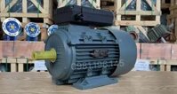 Động cơ điện 1 pha 3.0kW 4Hp