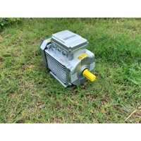 Động cơ điện 1 pha 3kw(4hp) trục 24mm, vòng tua 2900v/p