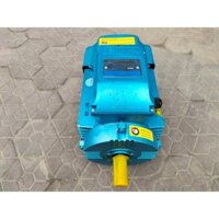 Động cơ điện 1 pha toàn phát 2,2kw chính hãng giá rẻ