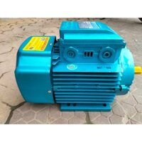 Động cơ điện 1pha , motor 3kw TOFACO toàn phát tua nhanh