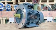 Động cơ điện 3 pha 0.75kW 1Hp