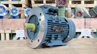 Động cơ điện 3 pha 0.8kW 1Hp