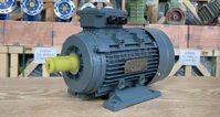 Động cơ điện 3 pha 1.5kW 2Hp