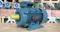 Động cơ điện 3 pha 2.2kW 3Hp