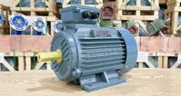Động cơ điện 3 pha 4kW 5.5Hp