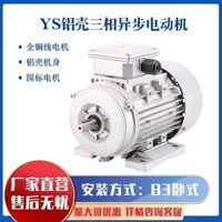 Động cơ điện 3 pha 750YS90//120 [Vỏ nhôm/Động cơ điện/1.5kw Mini ngang 370 dây đồng hoàn toàn 380V 8NLW