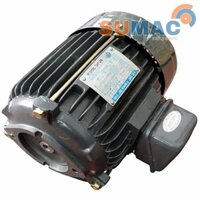 Động cơ điện cốt âm - Electric motor