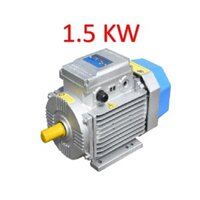 Động cơ điện Motor Toàn phát 2 HP - 1.5 KW