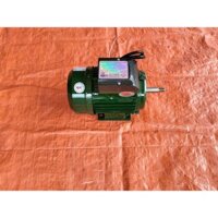 Động cơ điện motor Toàn Phát 750w 2900 vòng/phút