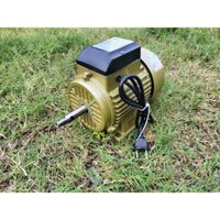 Động cơ điện motor Toàn Phát 1,5hp - 1,1kw