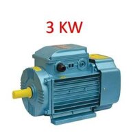 ĐỘNG CƠ ĐIỆN MOTOR TOÀN PHÁT (TOFACO) 4 HP - 3 KW