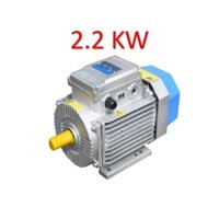 Động cơ điện motor TOÀN PHÁT 3hp-2.2kw và 4hp - 3kw.