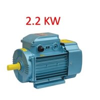 Động cơ điện motor toàn phát 2.2 KW 3 HP điện 1 pha