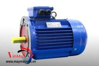 Động cơ điện, motor Toàn Phát 3 pha 7.5kw ( 10hp )