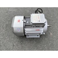 Động cơ điện motor Toàn Phát 2hp - 1,5kw