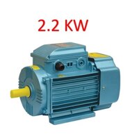 Động cơ điện Motor Toàn phát (Tofaco) 3 HP - 2.2 KW