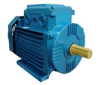 Động Cơ Điện TOFACO 1.5 KW - 1500 vòng/phút (1 Pha)