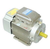 Động Cơ Điện VIETHUNG 2.2Kw 2900 Vòng/Phút 1 Pha