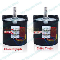 Động cơ giảm tốc 220v 14W 10 Vòng trên Phút - Động cơ giảm tốc 220v