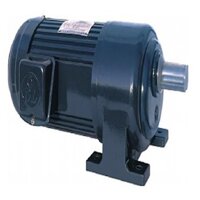 ĐỘNG CƠ GIẢM TỐC DOLIN CHÂN ĐẾ