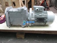 Động Cơ Giảm Tốc Dolin DLRVM 7,5Kw-1/35
