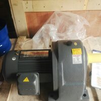 Động cơ giảm tốc Wanshsin GH0,1KW 5-50