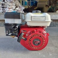 Động cơ HONDA 7.5hp - Máy nổ chạy xăng GX250