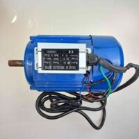 Động Cơ Không Chổi Than 24V 300W (Đã bao gồm mạch) - Motor Brushless 24V 300W