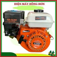 ĐỘNG CƠ MÁY BƠM NƯỚC PONA - MÁY CỐT THẲNG