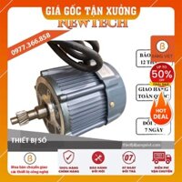 Động cơ mô tơ xe điện liền cầu 350-1500W BLDC