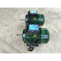 Động cơ motor 0,75kw(1hp) điện 1 pha, vòng tua 2900v/p
