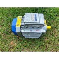 Động cơ motor điện 1 pha 3kw vòng tua 2900v/p chính hãng Toàn Phát