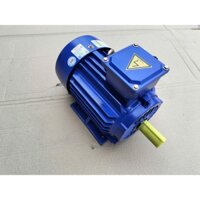 Động cơ motor điện 3 pha Toàn Phát 1,5kw(2hp) vòng quay 1400v/p dây đồng 100%