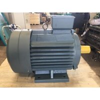 Động cơ - Motor điện QM 11kw/15HP 2P 3pha, chân đế b3