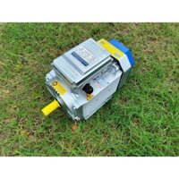 Động cơ motor điện Toàn Phát 3kw - 4hp chính hãng