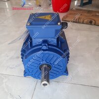 Động Cơ Toàn Phát 3kw 3 Pha Vòng Tua 3000 vòng/phút ( Motor 3pha 3kw)