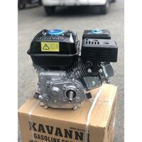 động cơ xăng cốt xéo