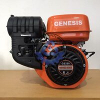 Động cơ xăng GENESIS GS200