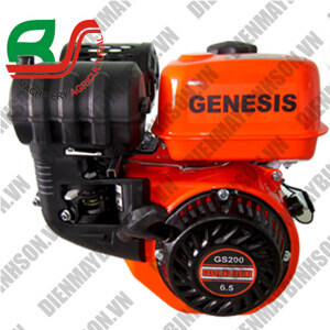 Động cơ xăng Genesis GS200