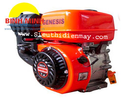 Động cơ xăng Genesis GS210