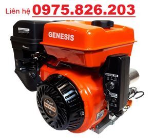 Động cơ xăng Genesis GS390RCE