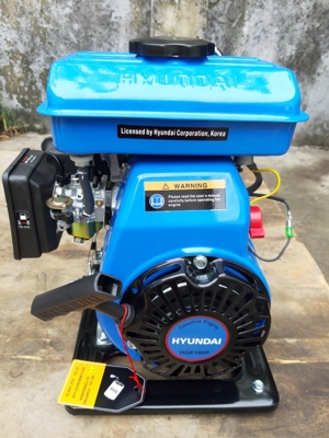 Động cơ xăng Hyundai HGE390