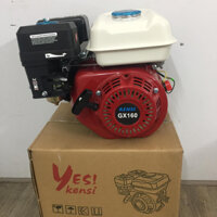 Động Cơ Xăng Kensi GX160 5.5HP