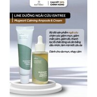 Dòng dưỡng ngải cứu ISNTREE MUGWORT CALMING AMPOULE & CREAM