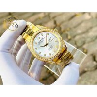 Đồng Hồ Carnival 8907G Gold