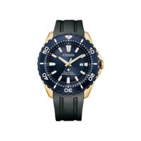 Đồng Hồ Chính Hãng Citizen - PROMASTER Professional Master BN0196-01L - Nam | JapanSport